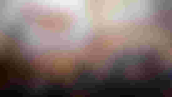 16-06-2025-kiss-jmenovani-prof-26.jpeg